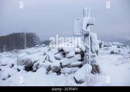 Traversata in legno fioccato di neve vicino a rocce con campo vuoto nevoso e. grigio cielo nuvoloso su sfondo Foto Stock