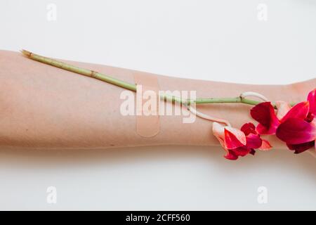 Moda donna mano con fiori orchidee. Ramo Orchid fissato con cerotto adesivo ad una mano femmina. Foto Stock