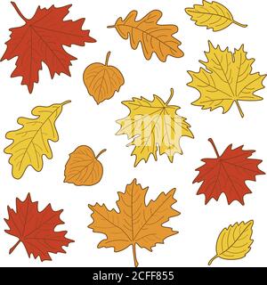 Illustrazione vettoriale, insieme di foglie d'autunno realistiche e luminose. Caduta foglie sfondo. Foglie di acero, tiglio, quercia e betulla. Illustrazione Vettoriale