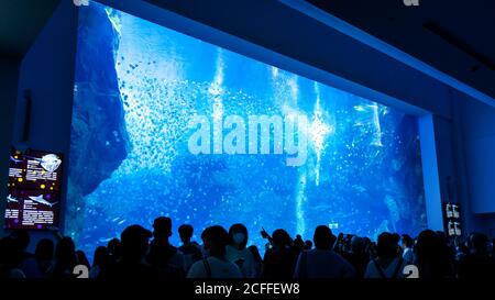 Taoyuan, Taiwan - 02 settembre 2020: Acquario di nuova apertura - edificio Xpark, popolare punto di riferimento di Taoyuan Qingpu. Foto Stock