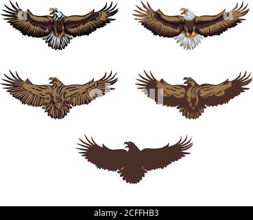 aquila, aquila, uccello, ali, piume, piuma, mosca, volo, testa, occhi, occhi, becco, ali, coda, predatore, selvatico, occhi, vettore, vettore, grafico Illustrazione Vettoriale