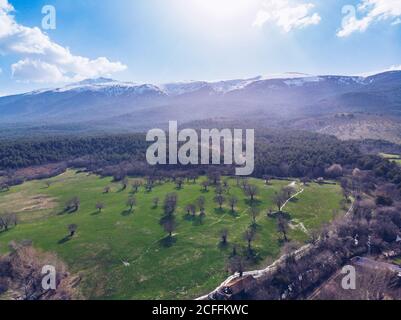 Campo verde e foresta accanto alla catena montuosa con neve coperta picchi nella giornata di sole Foto Stock