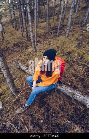 Dall'alto vista di Donna in abiti caldi con zaino seduto su un tronco e guardando la macchina fotografica in foresta sempreverde Foto Stock