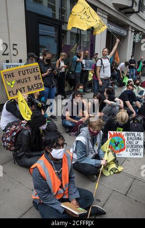 Londra, Regno Unito. 3 settembre 2020. Gli attivisti per i diritti degli animali della ribellione animale mostrano solidarietà con altri attivisti che si erano incollati in cima e all'interno di un camion per bloccare il Dipartimento di Salute e cura sociale. Gli attivisti della ribellione animale protestano in solidarietà con le vittime del sistema alimentare globale e chiedono che il Regno Unito passi verso un sistema alimentare sostenibile basato su piante. Credit: Mark Kerrison/Alamy Live News Foto Stock