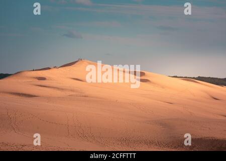 La grande Duna di Pilat, la più alta duna d'Europa ad Arcachon, Aquitania, Francia. Foto Stock