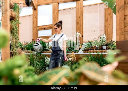 Da sotto giovane donna giardiniere sorridendo e annaffiando fiori fioriti e piante durante il lavoro in orangeria di legno Foto Stock