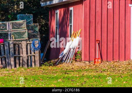 Red Barn in Maine rurale orientale nel mese di ottobre. Foto Stock