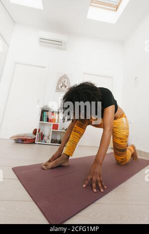 African American attraente giovane donna che esegue yoga posa con testa giù e mani gambe che si allungano sul tappeto in stanza leggera Foto Stock