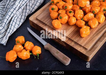 Fotografia dei peperoni Habanero appena raccolti su un taglio di legno tavola con un coltello e un asciugamano in cucina contatore Foto Stock