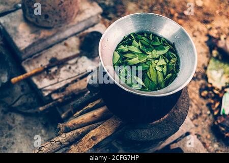 Cassia Tree, Thai Copper Podl in vaso per bollire fare cibo e erbe aromatiche. Foto Stock