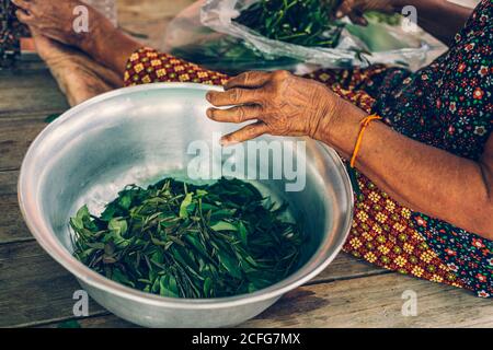 Cassia Tree, Thai Copper Podl. Le donne anziane che si siedono sul tavolo di legno e preparano la cottura con l'ingrediente alimentare. Foto Stock