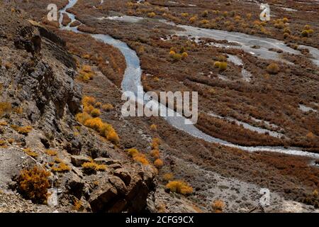 Vegetazione gialla in luoghi remoti della terra - Fauna della Valle degli Spiti dove la terra è asciutta e il clima è freddo. Colori vivaci creati da alberi e autobus Foto Stock