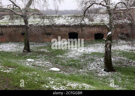 Antica e storica fortezza di Petrovaradin. I misteri del castello abbandonato. Foto Stock