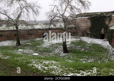 Antica e storica fortezza di Petrovaradin. I misteri del castello abbandonato. Foto Stock