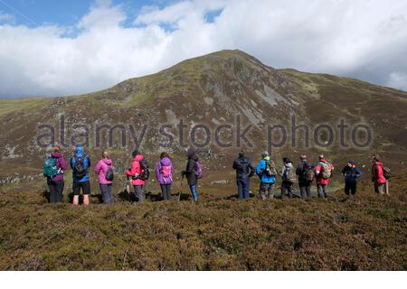 Pitlochry, Scozia, Regno Unito. 5 settembre 2020. Gli escursionisti si godono il bel tempo e il sole sulle pendici del ben Vrackie, un prominente Corbett (montagne tra 2500 piedi-3.000 piedi) vicino Pitlochry Perthshire. Credit: Craig Brown/Alamy Live News Foto Stock