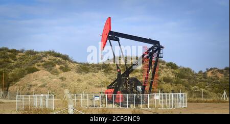 Pompa di estrazione dell'olio nel deserto di Mendoza, Argentina. Foto Stock