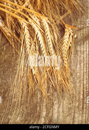 Punte dorate su sfondo tavolo di legno. Primo piano di orecchie mature di pianta di orzo. Foto Stock