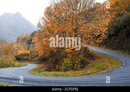 Una strada tortuosa in autunno. Colori autunnali brillanti. Foto Stock