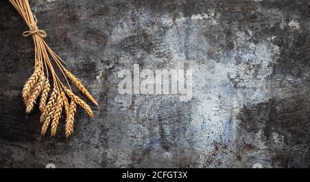 Primo piano di orecchie mature di pianta di grano. Punte dorate su fondo rustico in metallo. Spazio per la visualizzazione e la copia dall'alto del messaggio pubblicitario. Foto Stock