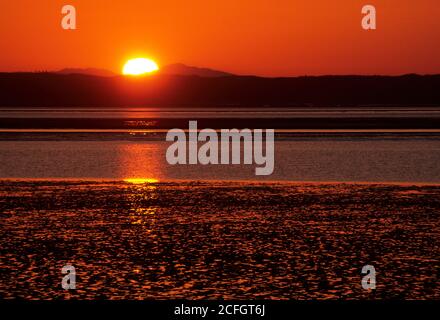 Mudflat sunrise, Damon Point State Park, Washington Foto Stock