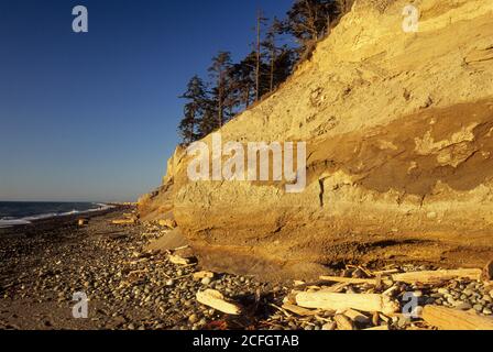 Bluff scogliere sulla spiaggia, Dungeness National Wildlife Refuge, Washington Foto Stock