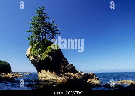 Seastack, Naufragio punto Area Naturale preservare, Clallam County, Washington Foto Stock