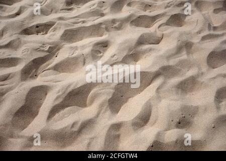 Sand Canti, Basin Head Provincial Park, Prince Edward Island, Canada Foto Stock