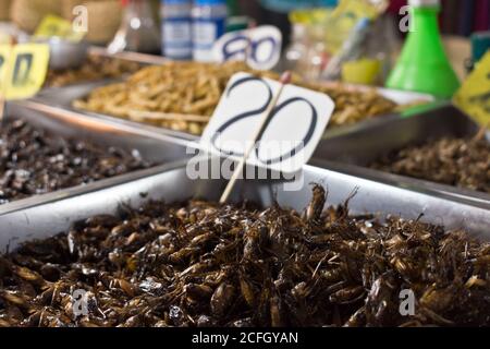 Insetti fritti con un'etichetta di prezzo al mercato notturno a Chiang Rai, Thailandia, Asia Foto Stock