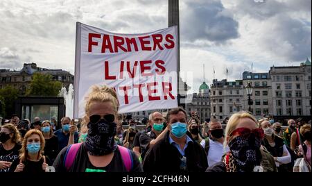 Trafalgar Square, Londra, Regno Unito. 5 settembre, 2020.i sudafricani nel Regno Unito si riuniscono per protestare contro un alto numero di agricoltori che vengono assassinati in Sud Africa Foto Stock