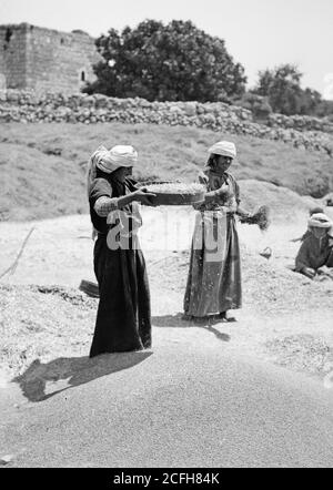 Didascalia originale: Costumi, personaggi, ecc. cagliando il grano - posizione: CA. 1900 Foto Stock