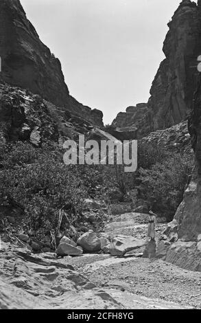 Didascalia originale: Petra (Wadi Musa). Valle di es-Siyyagh. Guardando la valle verso Petra - posizione: Petra Jordan ca. 1920 Foto Stock