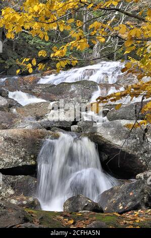 Colorata scena autunnale. Cascate e cascata lungo la ripida sezione rocciosa di Harvard Brook nella White Mountain National Forest, New Hampshire. Foto Stock