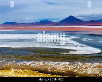 Incredibile bellezza mozzafiato del lago rosso minerale Laguna Colorada in Bolivia. Colori surreali luminosi. Paesaggio fantastico unico. Natura paesaggistica. Foto Stock