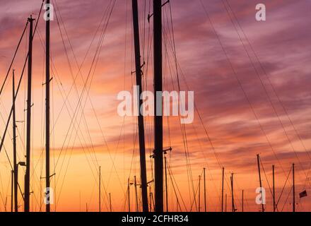 Barche a vela al tramonto, Shilshole Bay Marina, Seattle, Washington USA Foto Stock