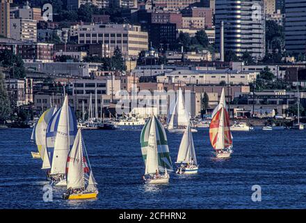 Duck Dodge corsa in barca a vela sul lago Union, Seattle, Washington USA Foto Stock