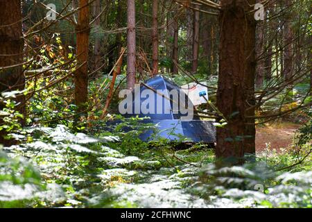 Disco volante sul sentiero UFO a Rendlesham Forest, Suffolk, Regno Unito Foto Stock