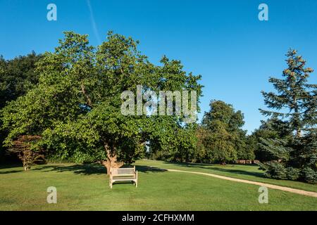Tranquillo giardino inglese casa di campagna in estate Foto Stock