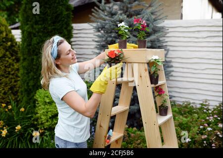 Donna che cresce fiori in vasi nel giardino Foto Stock