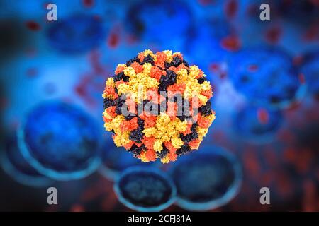 Rendering 3D del virus Nodamura, questo virus provoca una grave paralisi degli arti posteriori nei topi che allattano, rendendolo l'unico alfanodavirus patogeno per un mammma Foto Stock