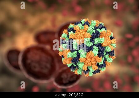 Rendering 3D del virus Nodamura, questo virus provoca una grave paralisi degli arti posteriori nei topi che allattano, rendendolo l'unico alfanodavirus patogeno per un mammma Foto Stock