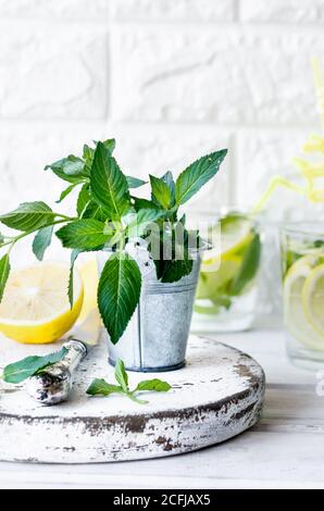 Mojito fresco bevande in bottiglie e ingredienti - limone e. menta Foto Stock