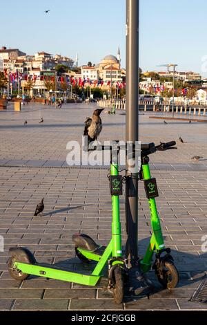 Un corvo che cavalca uno scooter elettrico sulla Costa di Uskudar, Istanbul, Turchia il 3 settembre 2020. Uskudar è una vasta area residenziale di Istanbul. Foto Stock