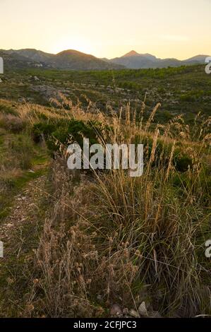 Tramonto dal sentiero nei pressi dell'agriturismo SA Duaia con vista panoramica sulle montagne di Artà (Maiorca, Isole Baleari, Spagna) Foto Stock