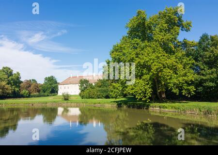 Rohrau: Castello Schloss Rohrau a Donau, Niederösterreich, bassa Austria, Austria Foto Stock