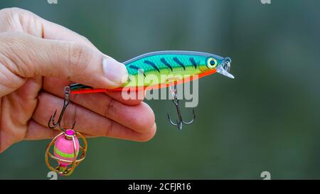 lure di pesca tenuto in mano, un lure di pesca è un tipo di esca artificiale di pesca usata per attrarre il pesce. I lures sono disponibili in molte forme, dimensioni e co Foto Stock