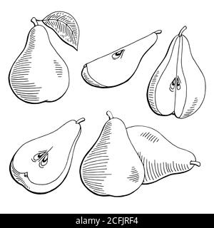 Pera frutta grafica nero bianco isolato schizzo illustrazione vettore Illustrazione Vettoriale