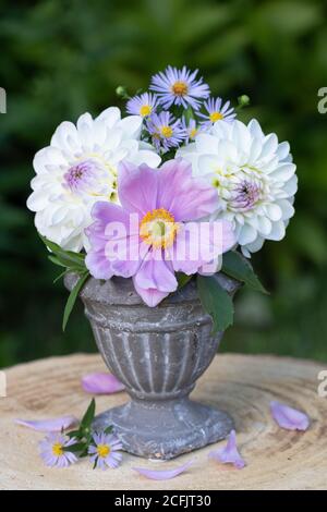 romantico bouquet di anemone viola e dahlias bianco in vintage vaso Foto Stock