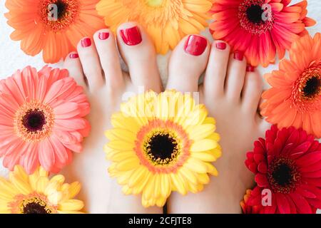 Chiocciole dopo pedicure con vernice rossa tra fiori Foto Stock