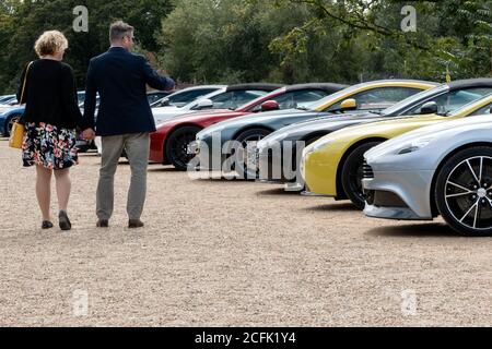 Aston Martins in mostra all'Hampton Court Concours 2020 Foto Stock