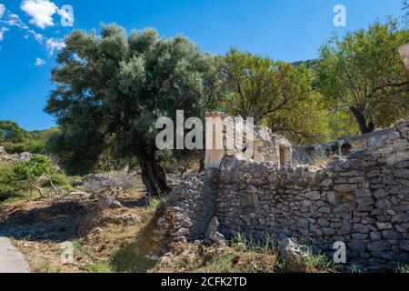 L'insediamento abbandonato Palia Plagia situato su un montianside in Grecia continentale con molte rovine di casa in pietra dereclict. Foto Stock